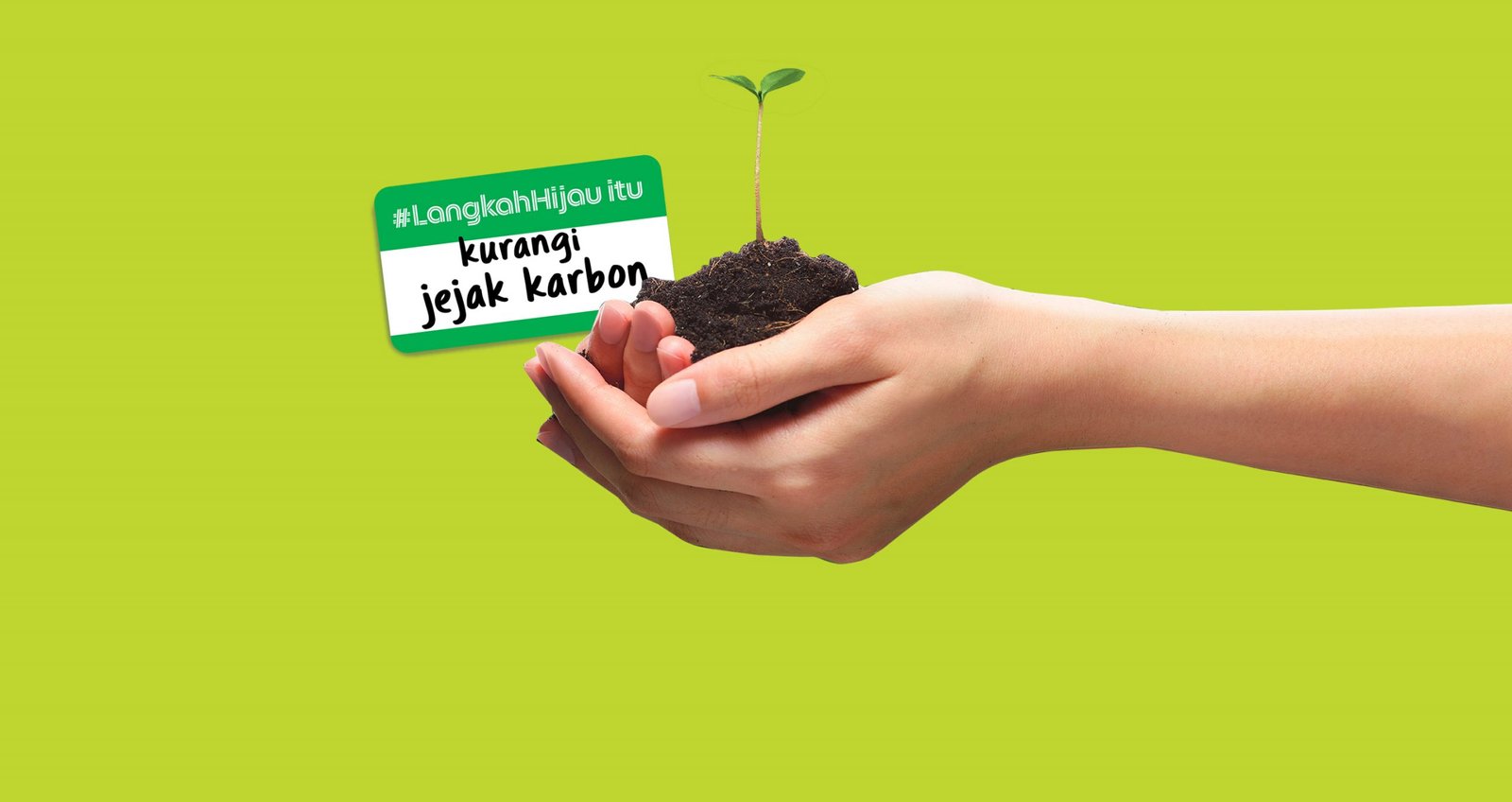 Langkah Menanam Pohon