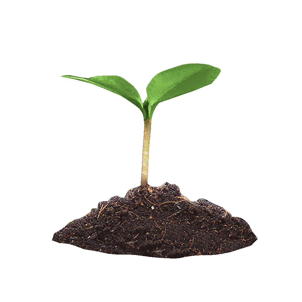 program LangkahHijau