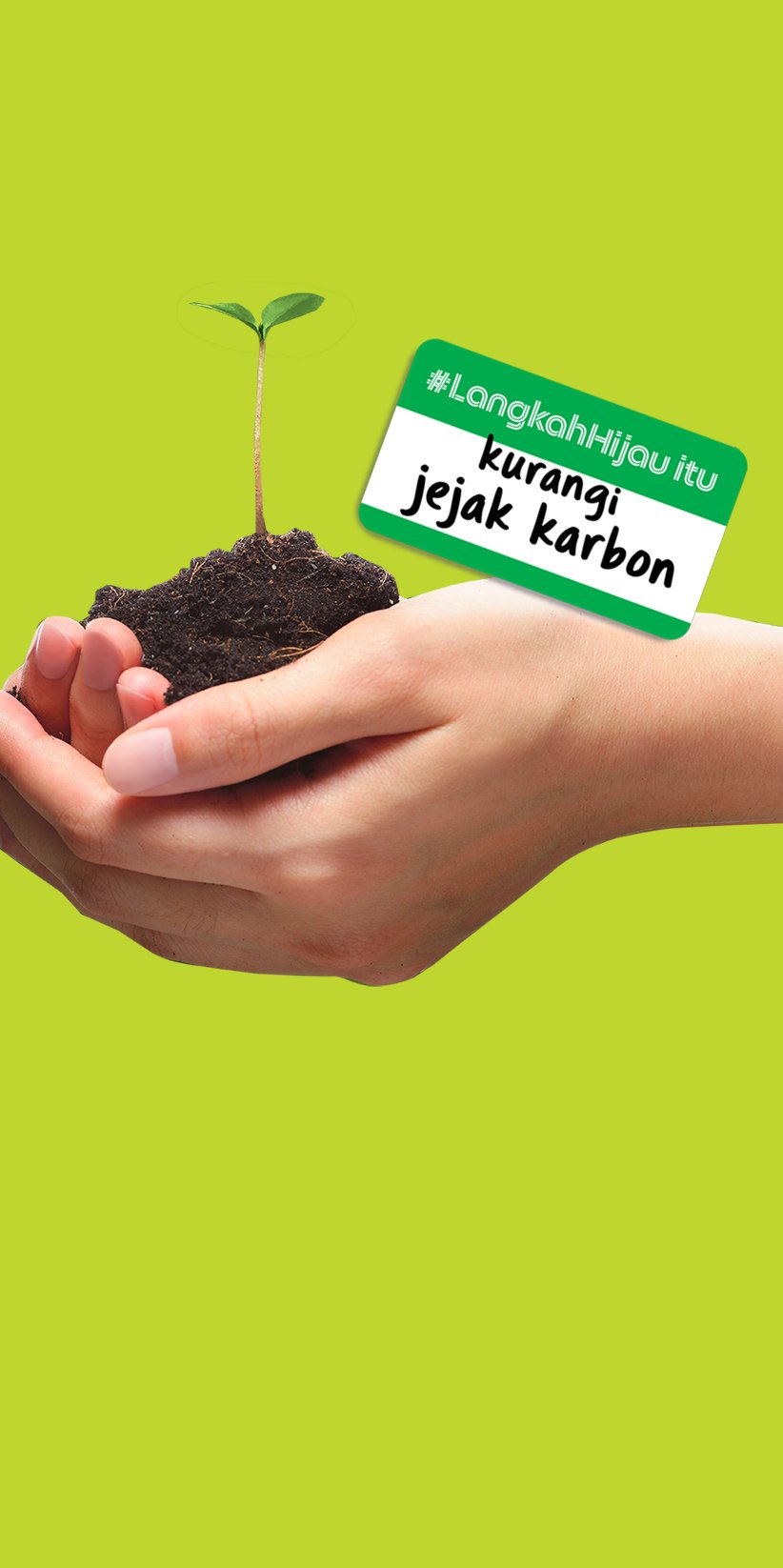 Langkah Menanam Pohon